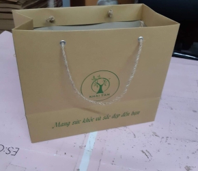 Túi xách giấy Kraft